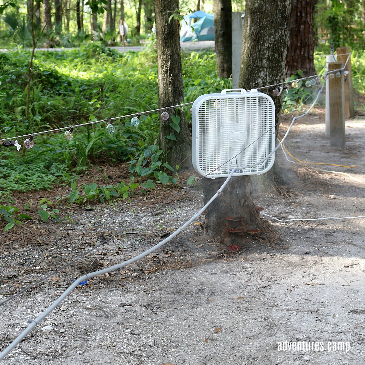 Edward Menard Park - Valrico, FL.