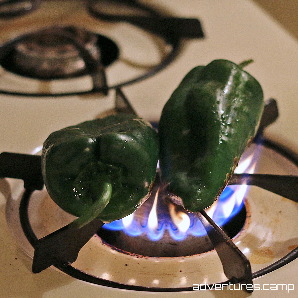 Dutch Oven Chicken and Poblano Peppers Stew