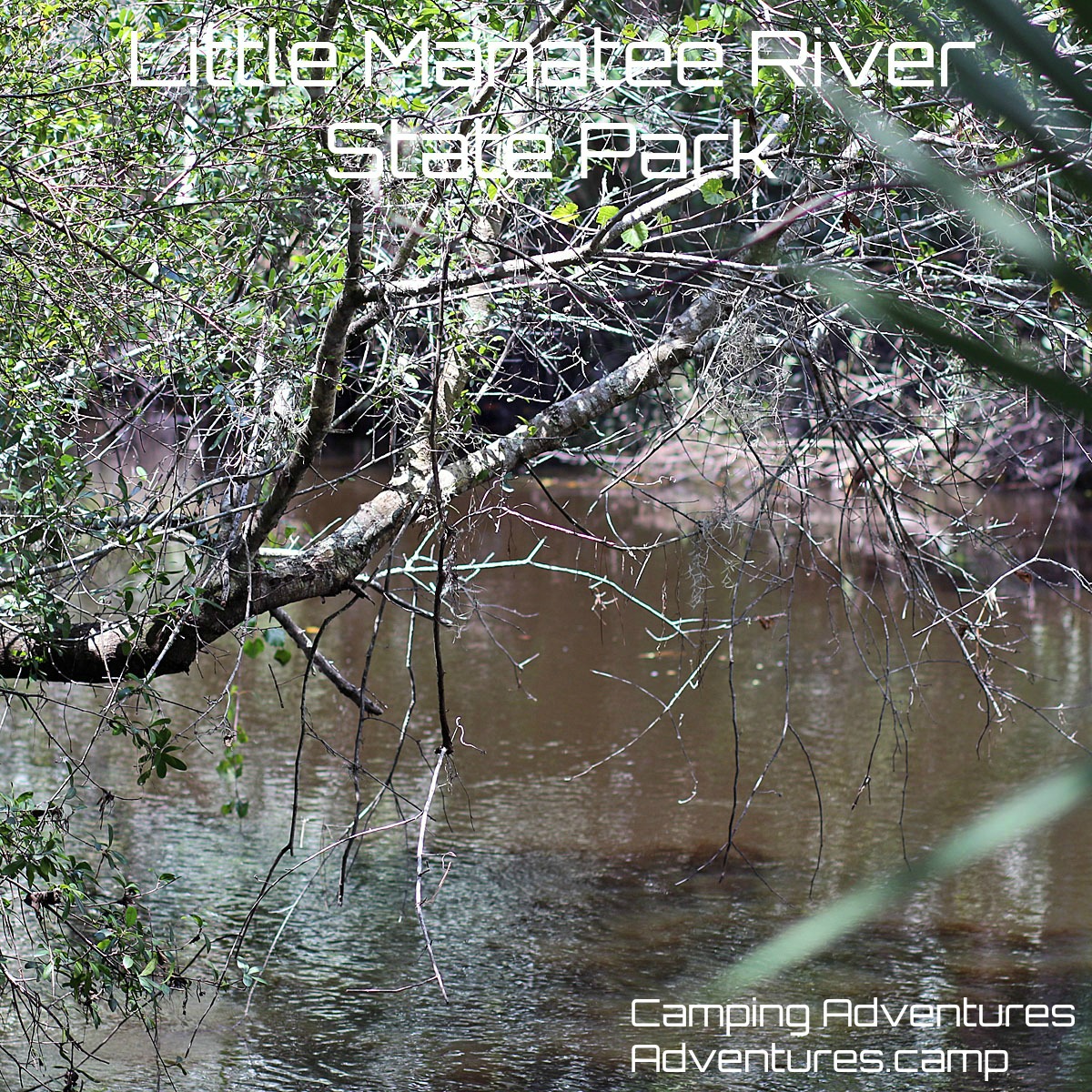 Little Manatee River State Park