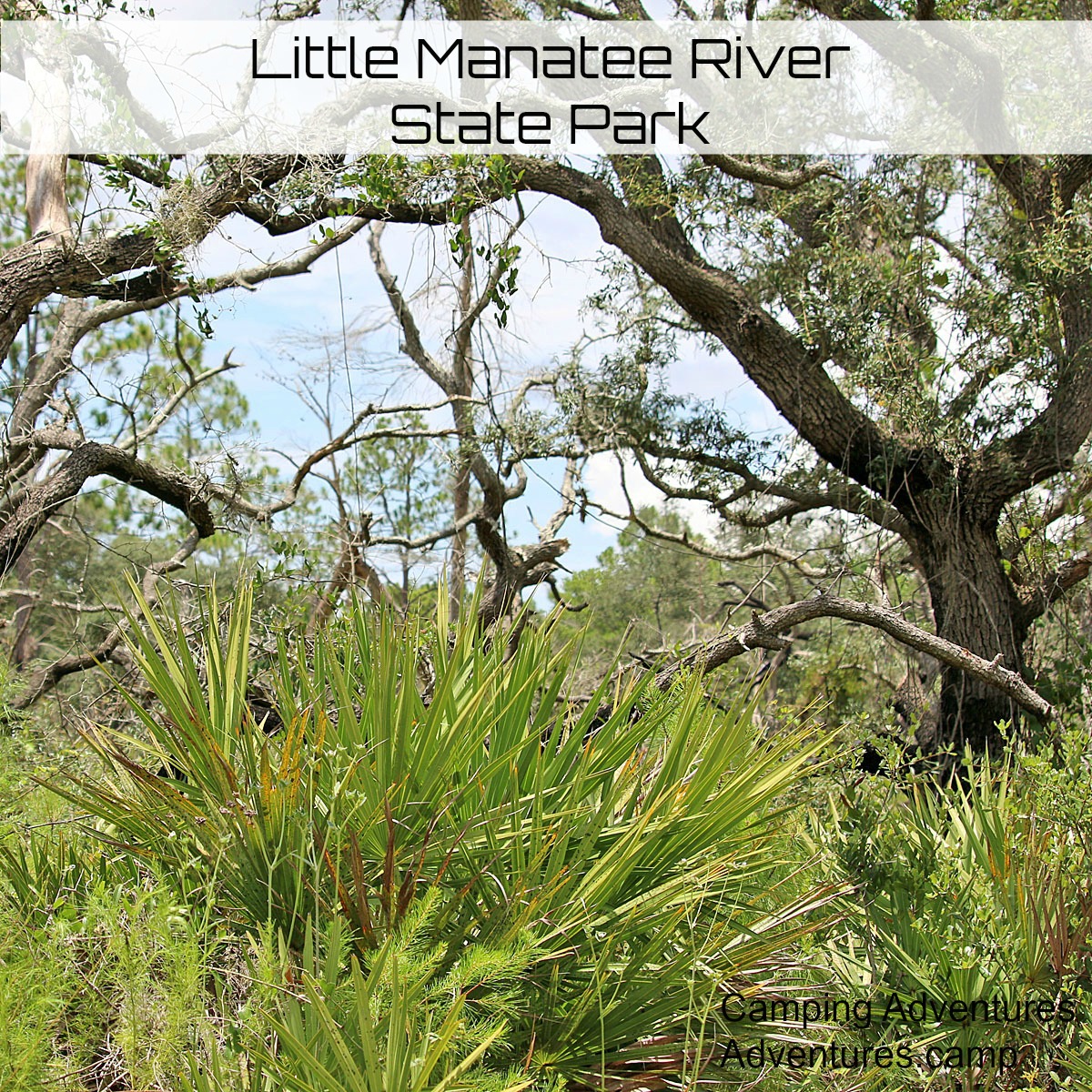 Little Manatee River State Park