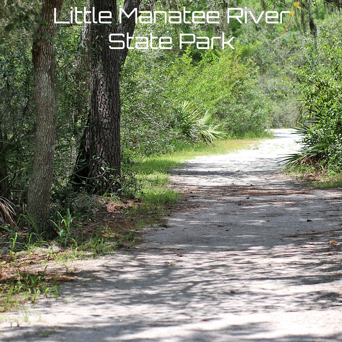 Little Manatee River State Park