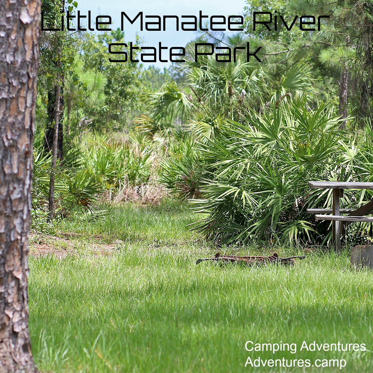 Little Manatee River State Park