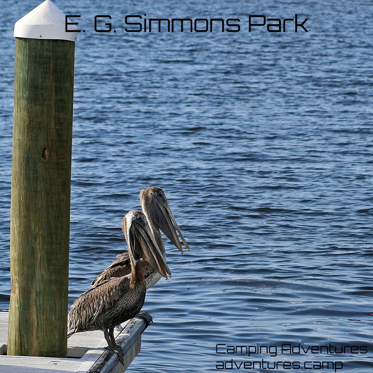 E. G. Simmons Park, Ruskin, FL.