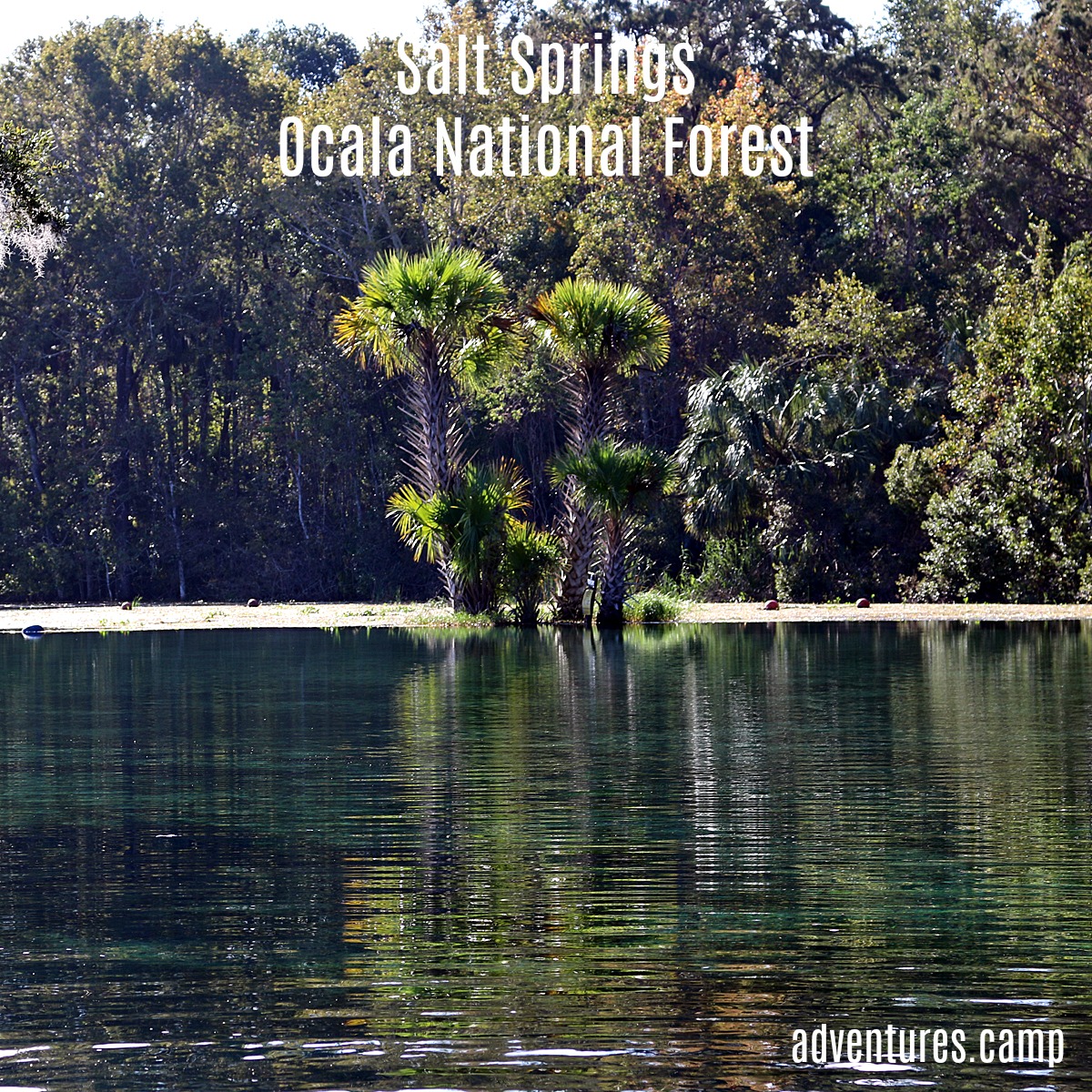 Salt Springs Ocala National Forest