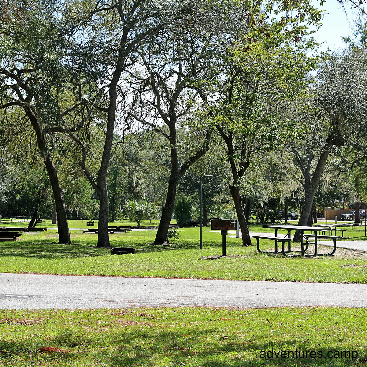 Salt Springs Ocala National Forest