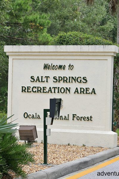 Salt Springs in the Ocala National Forest