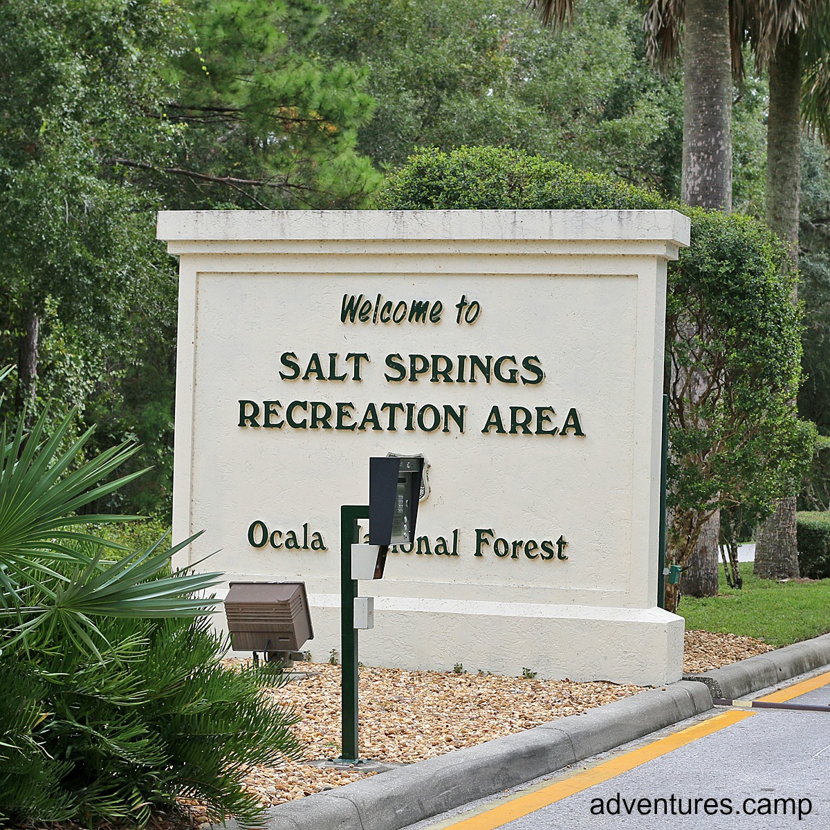 Salt Springs Ocala National Forest